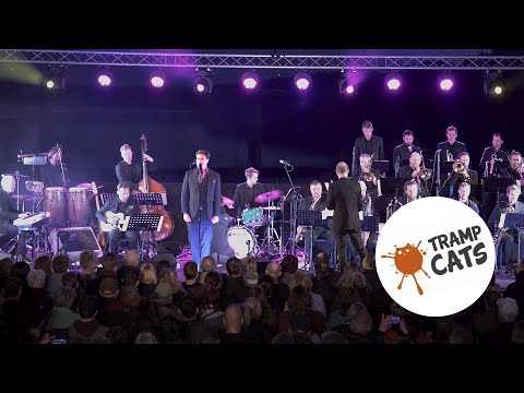 Bodo Wartke • Dazwischen (feat. @TrampCatsBigband )