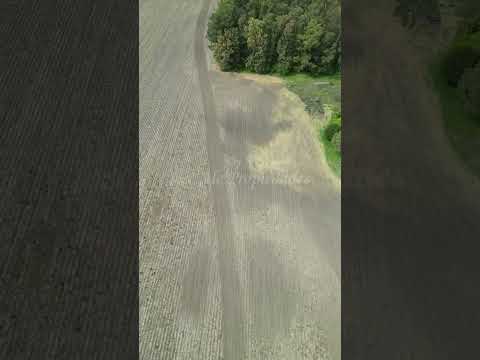 EN VENTA CAMPO AGRICOLA GANADERO DE 41.5 HA UBICADO EN PIEDRA DE LOS INDIOS, COLONIA.