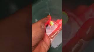 Download lagu Batu cincin fosfor merah delima bisa menyala dalam air mp3