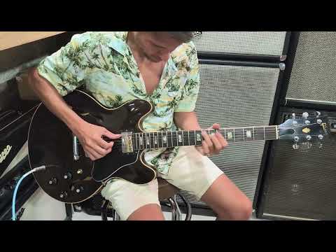 Gibson Es-335 1979 Walnut imagen 26