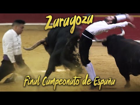 🏆🇪🇸 GRAN FINAL CAMPEONATO DE ESPAÑA DE RECORTADORES CON TOROS · ZARAGOZA 2017