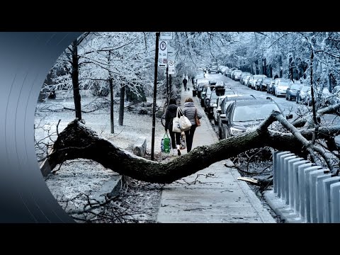 Tempête de verglas : un lendemain difficile dans plusieurs régions