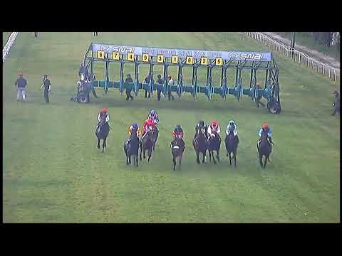 2024.06.23 Gran Premio di Milano (ITA) - Flag's Up