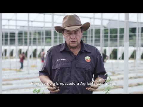 Empacadora Agrícola La Trinidad