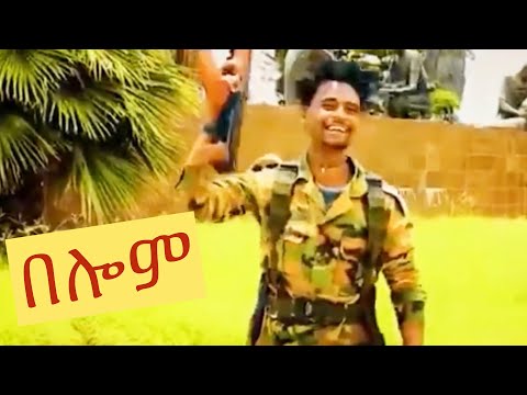 Solomon Tesfay በሎም New Tigray Tigrigna  music 2021