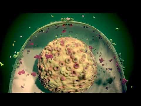 Tofacitinib PFIZER XeljanzTablets 5mg