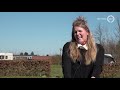 Het is stil op de camping van Linda: 'We weten niet wanneer we weer open kunnen'