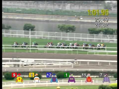 DOMINANT won The Queen Mother Memorial Cup 2013