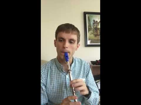 The Malbay Shuffle + Charlie Harris Reel (Irish whistle cover)