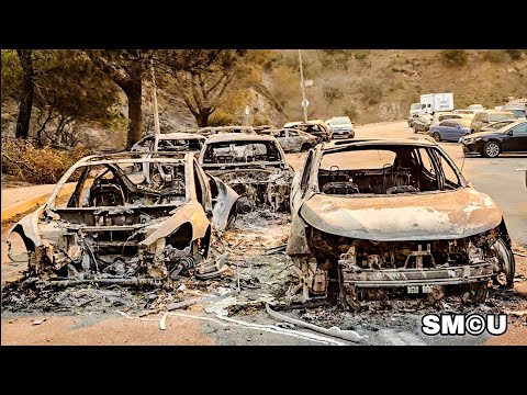 𝗘𝗩𝗔𝗖𝗨𝗔𝗧𝗜𝗢𝗡 𝗖𝗛𝗔𝗢𝗦 Cars Left in the Middle of Sunset Boulevard Destroyed by Fire.mp4