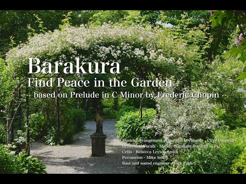 小低木のバラ 'Bad Wörishofen 2005' 植物