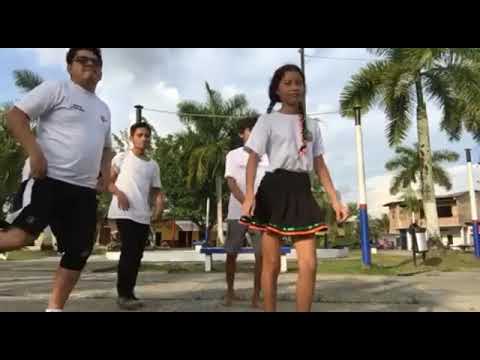 huayno - que linda flor