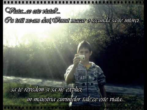 r.i.p.ionut.wmv