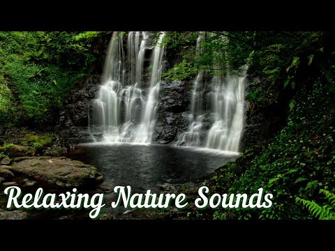 Relaxing Nature Sounds Forest with Soft Waterfall | 3 Hours