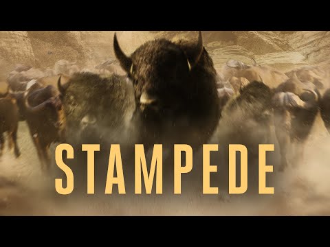 Uncaged ft. MC Robs - Stampede (Official Audio)
