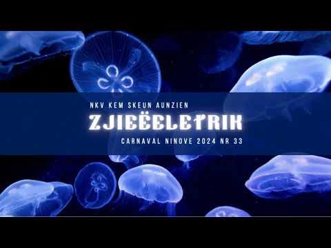 NKV Kem Skeun Aunzien stoetlieken 2024 - Zjieëeletrik