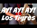 AY AY AY LOS TIGRES DE NORTE