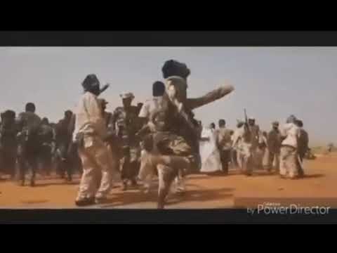 Serawit Zna  #Eritrean music #EDF #Shaebia