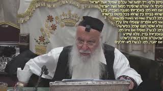 751הלכה יומית סימן תלט- דין מי שבדק ולא מצא מספר ככרות שהניח סעיף ג-ד סימן תם- דין חמצו של עכו''ם