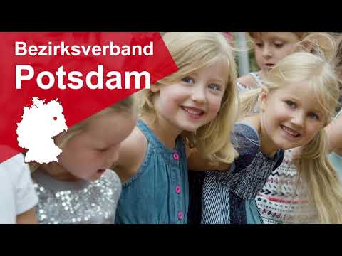 Rückblick auf das Jubiläumsjahr 2019 - 100 Jahre AWO