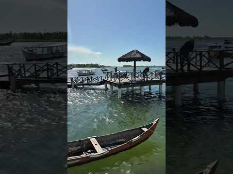 Alagoas piaçabuçu 🇧🇷🩵💙