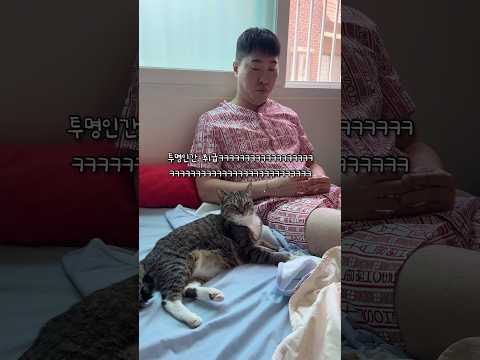 세상에서 제일 둔한 고양이