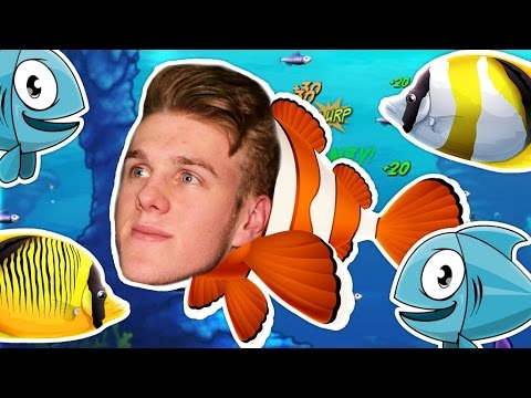 How To See Someones Wins On Fortnite