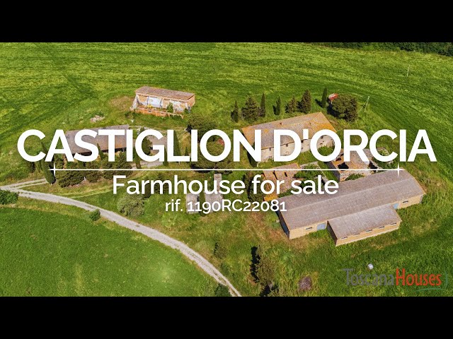 Gallina -  Castiglione d'orcia