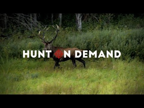 Auf Elch in Weißrussland mit Hubert Weidinger - Teil I –Patrick Kastner Hunt on Demand Trailer