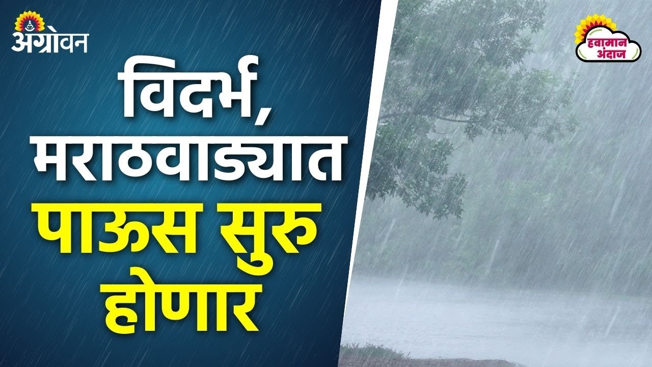 Maharashtra Rain Alert: राज्याच्या बहुतांशी भागात पावसाचा जोर वाढण्याची शक्यता | Agrowon