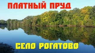 Платная рыбалка в тульской области непрейка