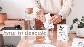 how to descale your breville barista express