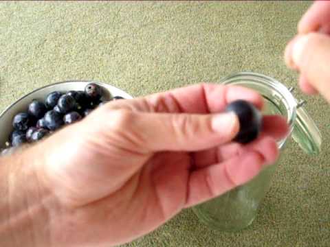 download lagu mp3 mp4 Damson Gin Recipe River Cottage, download lagu Damson Gin Recipe River Cottage gratis, unduh video klip Damson Gin Recipe River Cottage