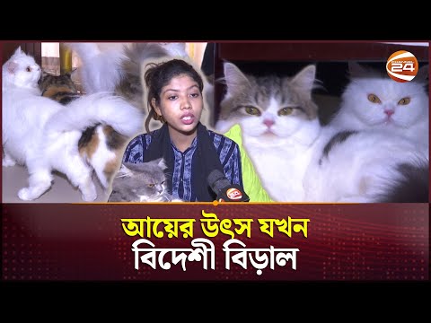 শখের বশে বিড়াল পুষে লাখপতি খাদিজা | Cat Farming | Khulna | Channel 24