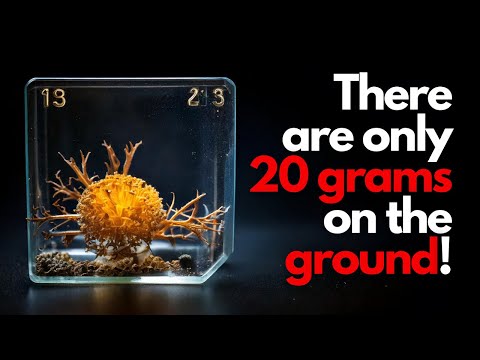 This Is The SCARCEST Element In The WORLD 😲