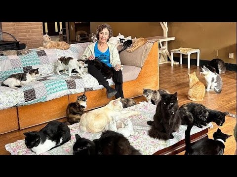 Über 800 Katzen in einem Haus: Die ultimative Cat-Lady & ihr Leben in Kalifornien