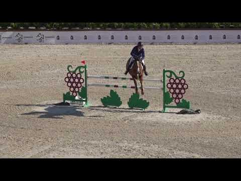Noblesse vd Donkhoeve 2021. 05. 29. CSI2* Budapest 135 cm jump off