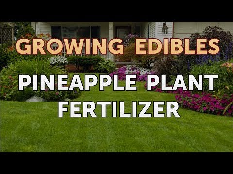 How to Grow Mangosteen From Seed