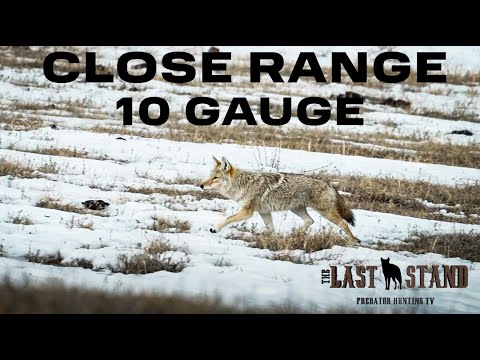 A Boy & His 10 GAUGE! Nebraska Coyotes | The Last Stand S6: E3