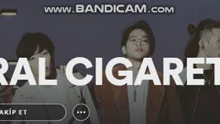 The Oral Cigarettes - mist...