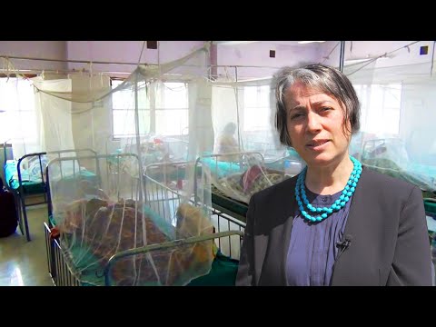 Meet Cevayir Coban — The fight against malaria (Audio:EN, Subs:EN|JP)