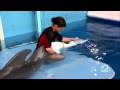 Dolphin Tale: How Real is Winter's Story? 