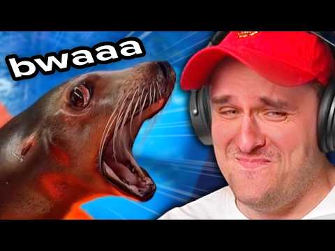 If I Laugh, I Lose, So NO LAUGHING!