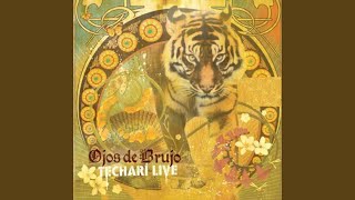 El Confort No Reconforta (Live in Barcelona 22-12-2006)