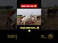 Bailgada Sharyat Lovers ️ 🫨 Bailgadasharyat Ghodagadisharyat Horse Race Dograce Shorts