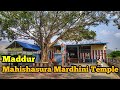 தித்திக்கும் வேப்பிலை மத்தூர் மகிஷா�