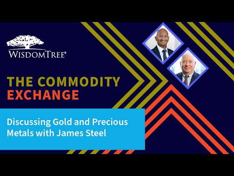 The Commodity Exchange: Discussing Gold and Precious Metals with James Steel