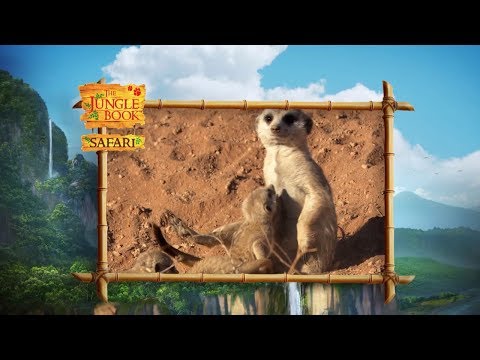 The Jungle Book Safari - Episode 19 -  Brave animals