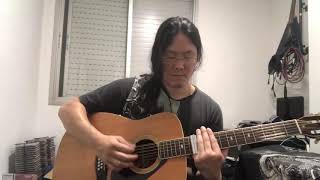 Walking Blues - Yamaha Fg512 (12 strings) test