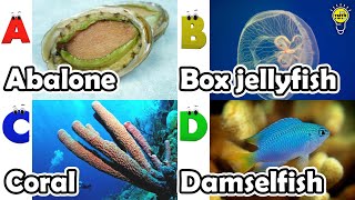 ABC phonics animals | ABC Sea Animals song | English and Animals for Kids | Alphabets Kids Song